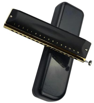 Chromatische Mundharmonika mit 16 Löchern in C-Taste, professionelles Musikinstrument, verchromtes Kupferschalenmaterial Mundharmonika-Set