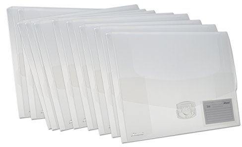 Rexel AZ2102029 Ice dokumentbox 40 mm, tillverkad av högkvalitativ, slitstark PP med etikettficka på framsidan och ytterligare ryggetikett, klar