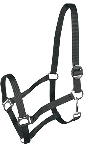 York Nylonhalfter Halfter Genickstück Verstellbar durch Schiebeschnalle Harmony Pferdehalfter (Cob, dunkelgrau)
