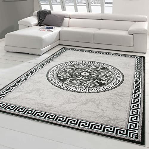 Teppich-Traum Orientteppich mit Glitzergarn Bordüre und Verzierungen in Kreisform Grau Anthrazit Creme 240 x 340 cm