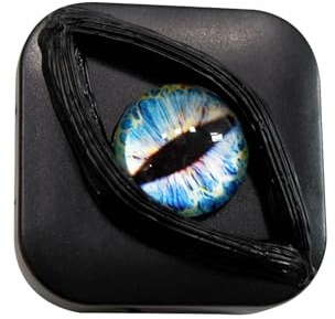 TTXSDYD White Contact Lense Red Scary Contact Lenses Case, 6.8 x 6.8 x 1.9 cm Eyes Storage Travel Portable Lens Box (Blue)