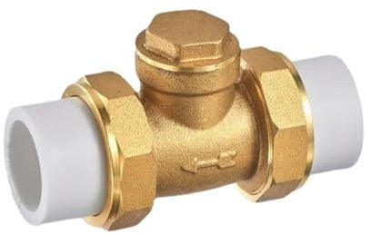 BgnEhRfL Raccords de tuyaux en Laiton Clapet Anti-Retour à battant en Laiton à Filetage Femelle BSP, Double Joint Mobile, clapet Anti-Retour unidirectionnel for l'eau(40 mm)
