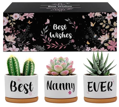 Belillpipi Nanny Gifts, Nanny Christmas Birthday Gifts - Unique Succulent Planters Best Nan Ever, Present for Nan from Grandchildren on Christmas Birthday Mother's Day