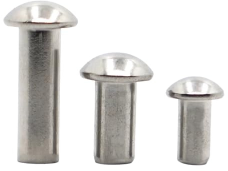 Remache de cabeza redonda sólida de acero inoxidable 304, M0.8 M1 M1.2 M1.4 M1.6 M2 M2.5 M3 M4 M5 M6, remache autotaponable de aleación GB867, 10-50 Uds.(M5 10pcs,10mm)