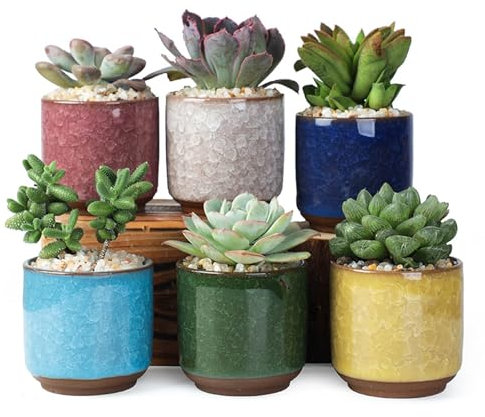 Watproofit Macetas de cerámica para plantas suculentas, juego de 6 colores con bandeja de madera, macetas de cactus con orificio de drenaje
