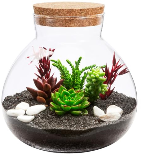 Flaschengarten Glas: Glasflaschen Leeres Zum Befüllen Terrarien für Blumenkübel Transparent Landschafts Flasche mit Korkdeckel für DIY Pflanzen Dekoratives Terrarium für Wohnzimmer Schlafzimmer Büro