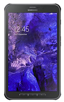 Samsung Galaxy Tab Active 8.0 16GB 3G 4G Titanium - Tablet (Minitableta, IEEE 802.11n, Android, Pizarra, Android, Titanio)
