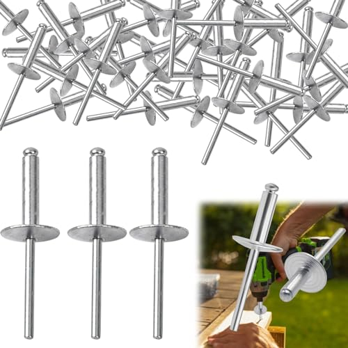 50 rivetti ciechi in alluminio con flangia grande, 4,8 mm x 20 mm, rivetti ciechi, rivetti pop, rivetti ciechi, 4,8 x 20 mm, set di rivetti ciechi, rivetti in alluminio