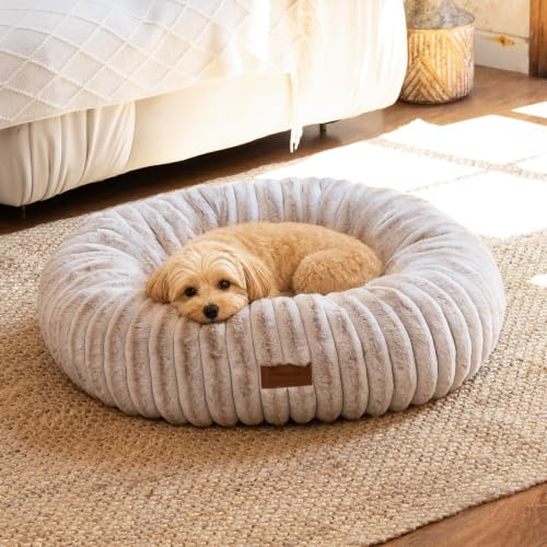 FUKUMARU Cuccia per Cani e Gatti Interno, Letto a Ciambella per Cuccioli Ansiosi, Letto Ortodontico per Cane, Copertura Lavabile, Design Moderno con Sfumatura. 63cm, Cammello