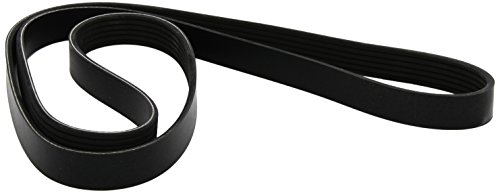 Dayco 6PK1613 Correa Trapecial Poli V