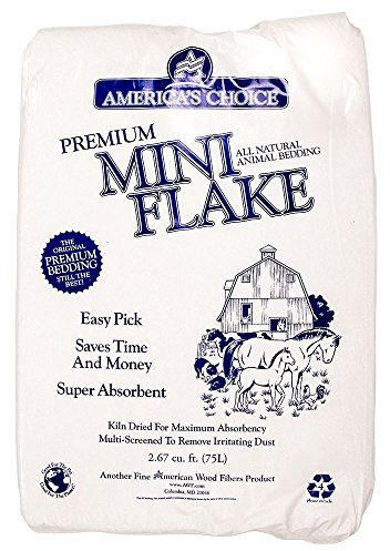 American Wood 67P2MINIAC