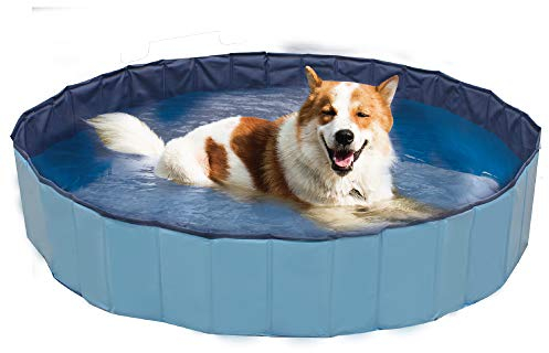 ZooMed Croci Swimming Pool Explorer, ideal für Hunde, 120 x 30 cm