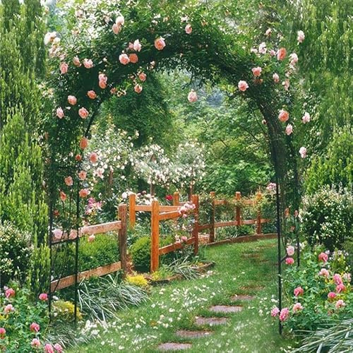 Rosenbogen Torbogen Metall stabil Gartenbogen Pulverbeschichtetem Stahl Rankbogen Hochzeitsbogen Verzinkt 120cm 160cm 180cm 200cm 240cm 280cm 300cm ( Color : Schwarz , Size : 160 Breit x 220cm Höhe )