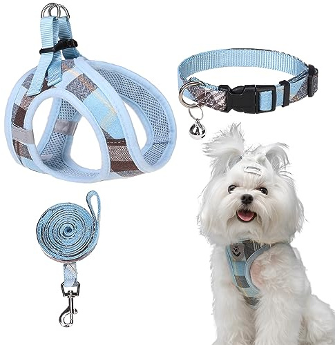 EXPAWLORER Hundegeschirr kleine Hunde mit Leine - Halsband und Leine Set, Hunde Geschirr Welpen mit AirTag Hülle, weiches reflektierendes Welpengeschirr kein Ziehen zum Spazierengehen, Blau S