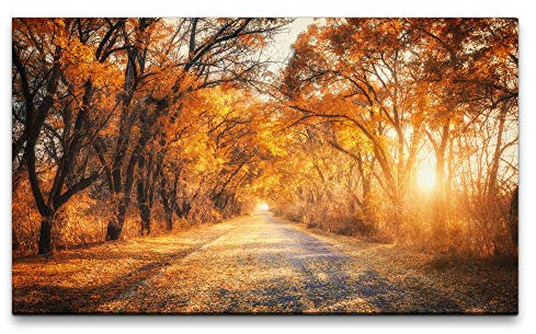 Paul Sinus Art Bilder XXL Bäume um einen Schleichweg 120x70cm Wandbild auf Leinwand