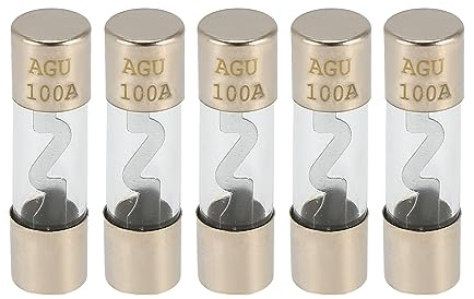 X AUTOHAUX 5 Stück Auto Sicherung Glasrohrsicherung Inline Stromsicherung 100A AGU