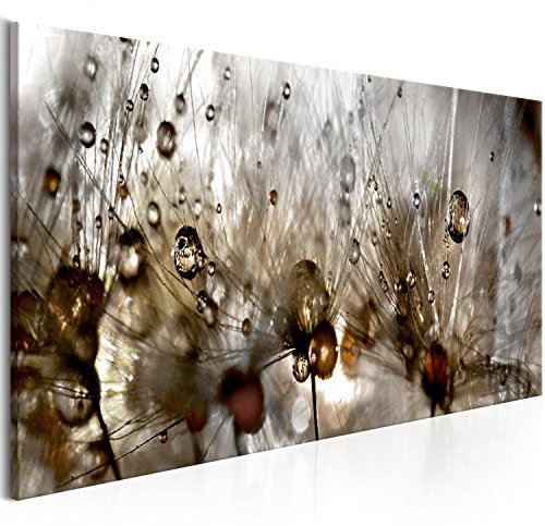 murando - Akustikbild Pusteblume Bilder Akustikschaum Hochleistungsschallabsorber Schallschutz Leinwand 1 tlg Wandbild Raumakustik Schalldämmung Blumen Natur b-B-0253-b-b
