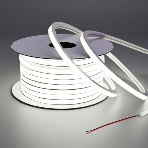 BENLUN Striscia LED Neon 24V Esterno Impermeabile IP65 15 Metri 10W/m | 6000K Bianco Freddo Luci LED senza Caduta di Tensione per Cucina, Cortile, Giardino, Salotti (Alimentatore non Incluso)