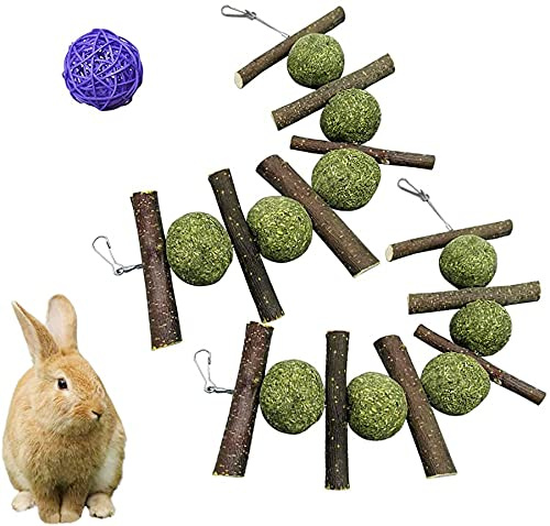 Maotrade 2 Stück Kaninchen Kauspielzeug für Zähne Natürlich Apfelholz Kauen Kaustäbchen und Kaubälle Kleintierpielzeug für Zahnpflege Hasen Hamster