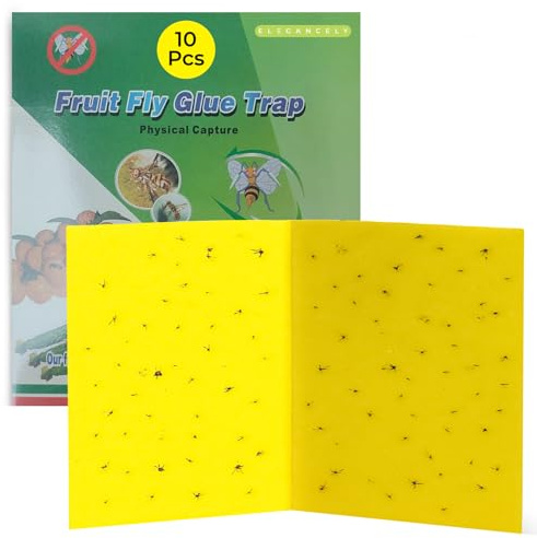 Elegancely 10 Pack Fruit Fly Trap Indoor & Outdoor | Large 20 x 40cm Sticky Insect Pads & Glue Papers for Home Use, Kitchen, Garden - Fly Catcher & Dual-Sided Adhesive for Bugs, Gnats & Mosquitoes