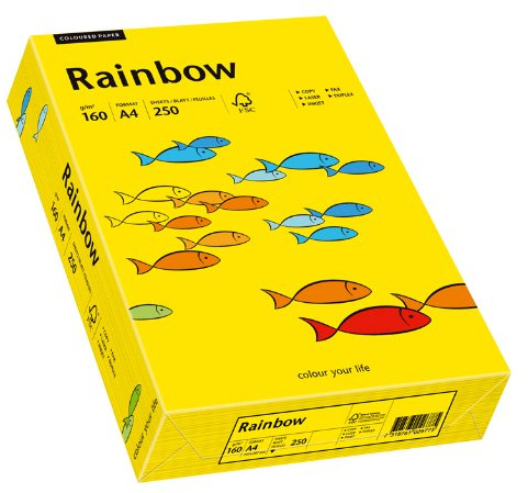 Papyrus 88042395 Drucker-/Kopierpapier farbig, Bastelpapier: Rainbow 160 g/m², A4, 250 Blatt, matt, intensivgelb