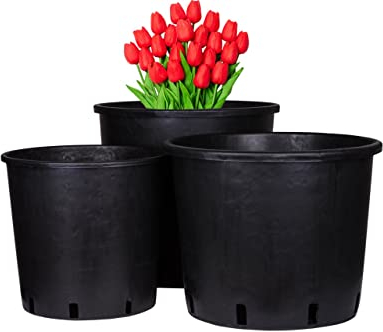 Weedness Blumentopf Rund Kunststoff 19 Liter 30 x 30 cm Schwarz für Innen & Außen - Pflanzkübel Groß Pflanzen-Topf Pflanzgefäß Anzuchttopf Blumenkübel Balkon Garten Hoch XXL