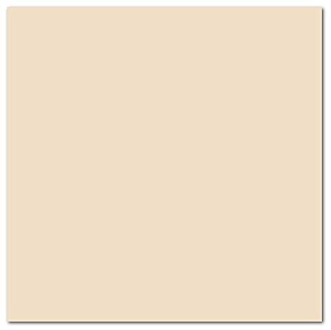 Canson Mi-Teintes - Kuenstlerkarton - 40,5 cm x 51 cm - Eierschale