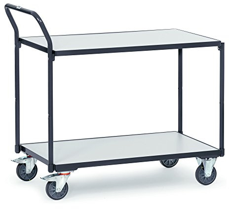 Fetra Transportgeräte mtsd2p2 F 250 Regal Wagen mit Tablett ESD, 2 ohne Rollen, 125 mm Durchmesser, 1000 mm x 600 mm Plattform