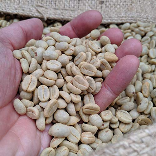 Rounton Coffee Green Coffee Beans - Single Origin El Salvador Washed Process Raw Unroasted Coffee Beans for Home Roasting - 1kg