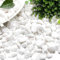 dellyy Décorative Gravier Blanc, 500g, Petit Pierres Blanches, Pierres Blanches Décoratives, Cailloux Decoratif Vase, Petit Galets Jardin, Mini Graviers Blanc pour Pots Fleurs, Aquariums (500)