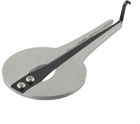 BlesConi Maultrommel für Anfänger, Stahlmund, Musikinstrument mit tragbarem ethnischem Design, für russischen Altai-Stil Spielen