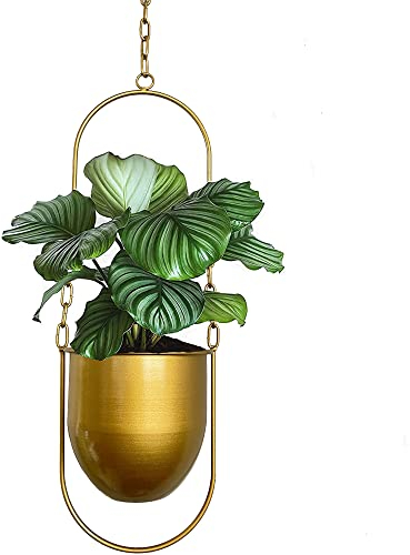 VDYXEW Hängende Pflanzgefäße-Metall-Pflanzenbügel,Blumenampel Metall Modern, hängende Pflanzgefäße für Innenpflanzen, Boho Moderne Pflanzenaufhänger Minimalistische Wohnkultur (Gold)