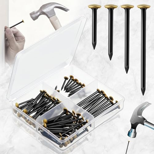 Srup 120 Pièces Clous à Tableau Set (20/25/30/40mm), Clous en Acier Inoxydable, Ensemble de tentures d'image des ongles en acier, Les cintres d'image pendent des ongles photos, Ongle à ongles