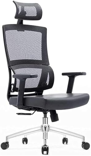 Ergonomic Office Chair with Waist Support Adjustable Home Office Computer Gaming Chair Comfortable Engineering Task Seat Swivel Desk Chair for Workstation Study or Gaming