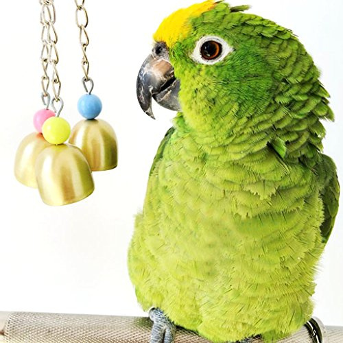 Kauspielzeug für Vögel, süße Glocken, für Papageien, Aras, Graupapageien, Wellensittiche, Kakadus, Sittiche, Nymphensittiche, Unzertrennliche, Finken, Käfigspielzeug