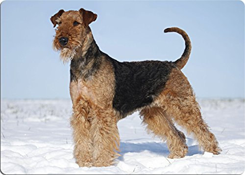 +++ AIREDALE Terrier - SCHNEIDEBRETT Dekoteller Glasbrett Dekoglas - AIT 04