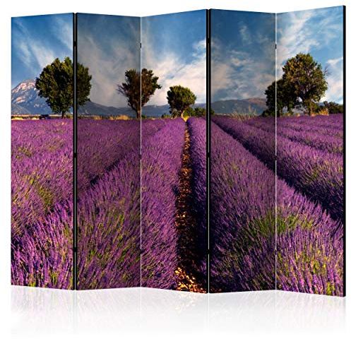 decomonkey Paravent Raumteiler Innen Landschaft 225x172 cm 5 Teilig Einseitig Room Divider Wall Raumteiler Stehend Trennwand Sichtschutz Spanische Wand Sichtschutzwand Wohnzimmer Holz Lavendel