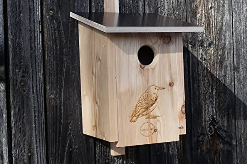Premium Natur Lärchenholz Nistkasten unbehandelt nach Nabu, massives Vogelhaus Nisthilfe wetterfest 18mm stark verschraubt, Befestigungsmaterial (Alunägel) (Nistkasten Star ohne sitzstange)