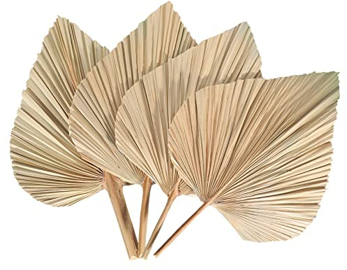 Bortivier 4 PièCes Feuilles de Palmier SéChéEs éVentails de Palmiers SéChéS BohèMe Lances de Palmier SéChéEs Plantes Artificielles Feuilles de Palmier Feuilles de Palmier Tropicales