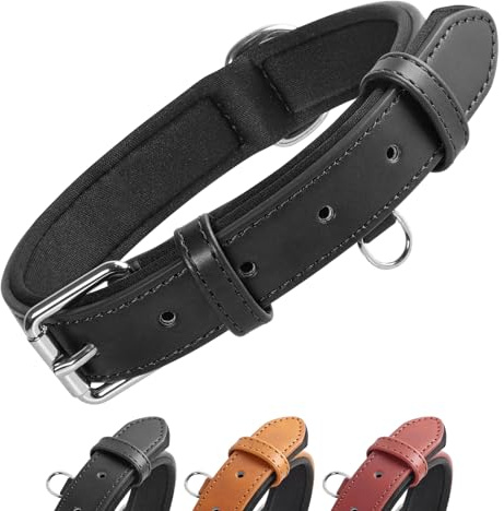 Grand Line Leder Hundehalsband, Lederhalsband Hund mit Weichem Gepolstertes, Breiter und Dicker Hundehalsband, Verstellbares Halsband Hunde für Kleine, Mittlere, Große Hunde (Schwarz, XS)