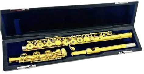 17 Tasten, Offenes Loch, C-Ton, Vergoldete, Geschnitzte Tasten, Flöten-Holzblasinstrument Mit Box Querflöte für Anfänger