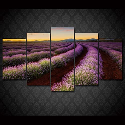 5 Teilig Leinwand Wanddeko Pastoraler Lavendel Poster Hd Bilder Leinwanddrucke 5 Stück Gemälde Modern Wohnzimmer Wohnkultur Geschenk Mit Rahmen 200 X 100 Cm Schlafzimmerbürohotelwandkunstfoto