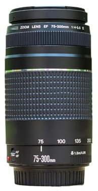 Camera Replacement， Téléobjectif EF 75-300 mm F/4-5.6 III, Compatible avec Canon EOS 1300D 650D 700D 60D 70D 80D 6D 7D 5D2 5D3 T3i T5i T6,for Photography
