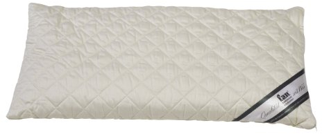 f.a.n. Frankenstolz 03880-11024-19 Dinkelkissen / Medisan Sleep & Care / 040 x 080 cm