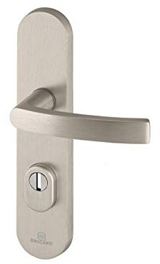 Bricard 9900151 Ensemble de Poignées Blindées sur Plaque Essential Béquille + Béquille pour Porte d’entrée (pour Cylindre Européen), coloris Inox