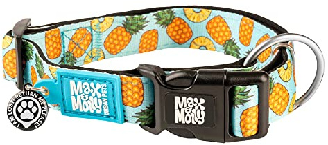 Max & Molly Hundehalsband mit Sicherheits-QR-Code, Hundemarke, weich, verstellbar und wasserdicht, niedliches Sommer-Themen-Design für Mädchen und Jungen, Hunde und Welpen, Größe L, Blaugrün