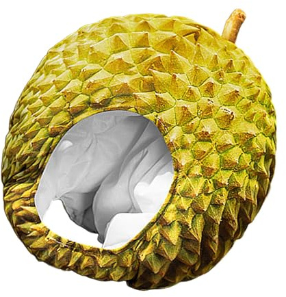 Roliga durian fyllda leksaker - plysch kostymhatt cosplay och fester | Realistisk mjuk frukthuvudbonad, varm gaghatt för rollspel, karnevalshower, fotoprop, dum gåva för barn och vuxna