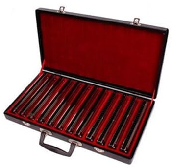 Mundharmonika Anfänger 12-teilige Mundharmonika 24-Loch Tremolo Silber Holzblasinstrument Mit Box