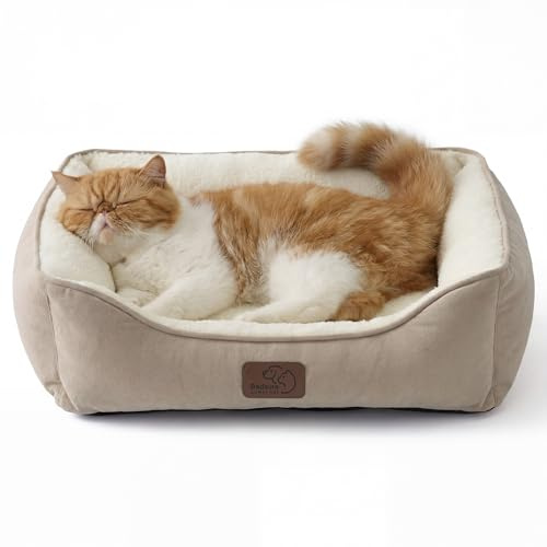 BEDSURE Katzenbett waschbar Katzen Bettchen 51x41cm | Katzenkorb Indoor mit Rutschfester Basis, quadratisches Hundebett für kleine Hunde mit weichem Rand, kamel
