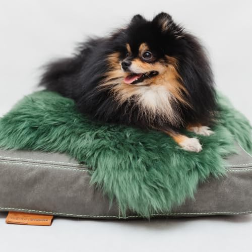 WeirdChairs Luxuriöses, handgefertigtes Hundebett – Smaragd Haven Pooch Kissen